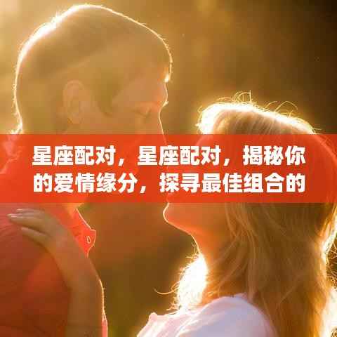 星座配对揭秘，探寻最佳爱情组合的秘密