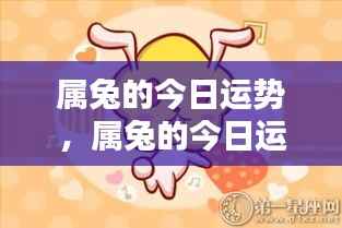 属兔人今日运势详解