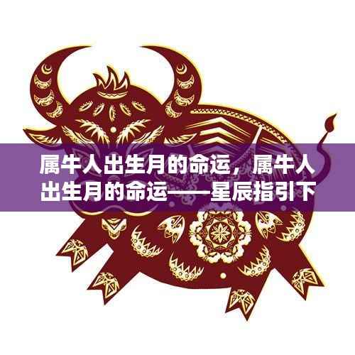 属牛人出生月的命运揭秘，星辰指引下的命运轮廓