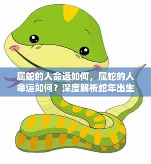 属蛇人的命运深度解析，性格与运势走向探讨