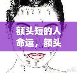 额头短的人命运解析，面相与命运之间的神秘联系揭秘