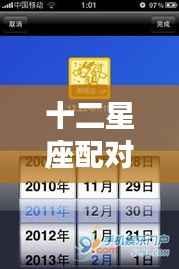 十二星座配对查询，揭秘星座情感奥秘的奥秘配对指南