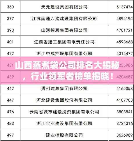 山西蒸煮袋公司排名大揭秘，行业领军者榜单揭晓！
