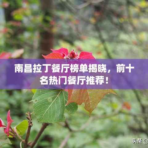 南昌拉丁餐厅榜单揭晓，前十名热门餐厅推荐！