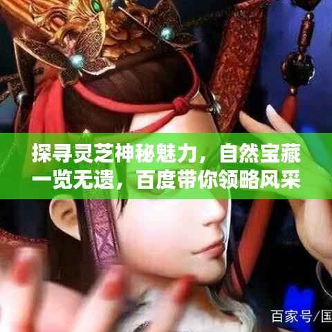 探寻灵芝神秘魅力，自然宝藏一览无遗，百度带你领略风采