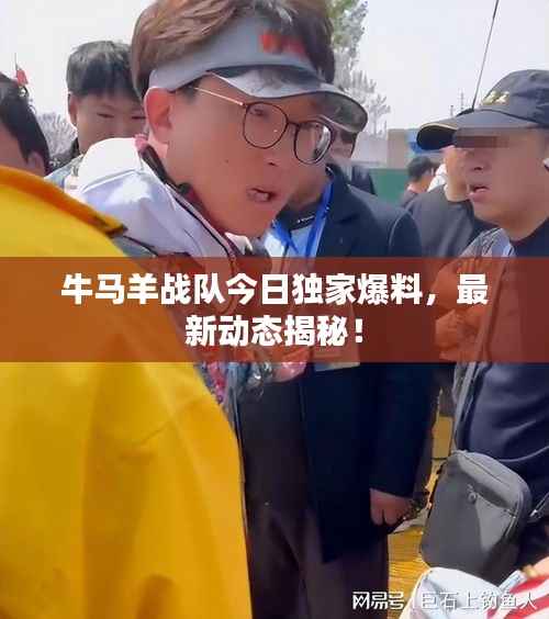 牛马羊战队今日独家爆料，最新动态揭秘！