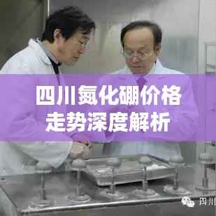 一石二鸟 第3页